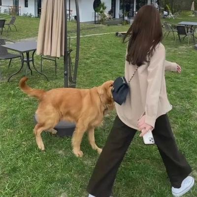 九命怪妻